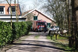 Man bekneld onder boom in Bennebroek