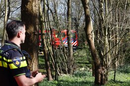 Man bekneld onder boom in Bennebroek