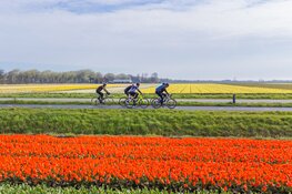 4.500 fietsers koersen door de prachtige provincie tijdens 49e Ronde van Noord-Holland