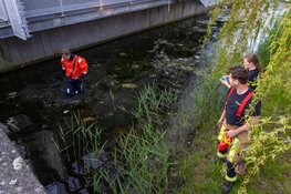 Man gooit drugs te water en wordt aangehouden