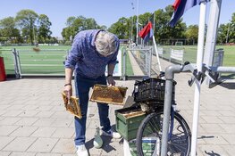Bijenzwerm nestelt zich op fiets bij de hockeyclub in Haarlem
