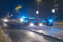 Man aangehouden dankzij politiehond na vluchtpoging in park in Haarlem