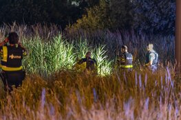 Man aangehouden dankzij politiehond na vluchtpoging in park in Haarlem