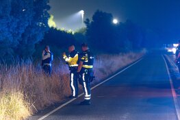 Man aangehouden dankzij politiehond na vluchtpoging in park in Haarlem