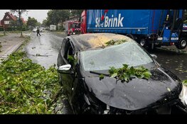 Automobilist krijgt boom op auto