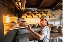 Oprichter 'Made By Ellen' haalt succesvol 80.000 euro op met crowdfunding om desembakkerij in Haarlem te openen