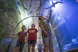 Beleef de zomervakantie in Fort Kijkduin