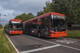 Botsing op route Zuidtangent in Haarlem