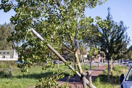 Busje raakt van de weg en rijdt lantaarnpaal omver in Haarlem