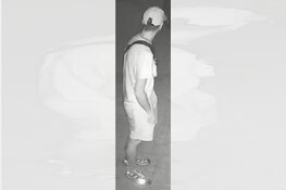 Diefstal uit woning – Reigerlaan Heemstede