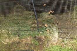 Tesla door heg tegen hekwerk na mislukte inhaalactie in Zandvoort