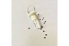 Verborgen Schatten: Haarlems Sieraad Collectief in Verwey Museum Haarlem