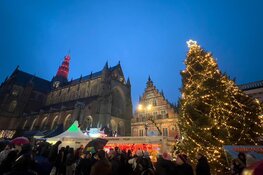 Volop drukte op Haarlemse kerstmarkt