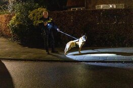 Aanhouding na melding over scooterdieven