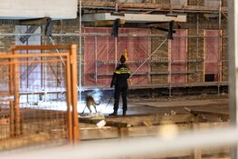 Zoekactie na melding inbraak in Haarlem