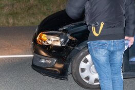 Hert uit lijden verlost na aanrijding in Overveen
