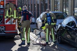 Hond gered bij brand in woning aan de Poeldijkweg in Haarlem