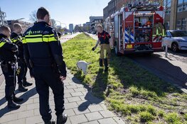 Hond gered bij brand in woning aan de Poeldijkweg in Haarlem