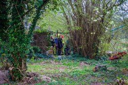 Brand bij tuinvereniging in Haarlem