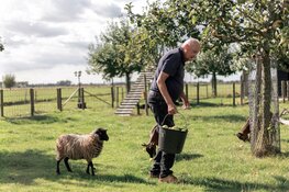 WarmThuis, waar je mag zijn