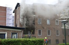 Brand ontstaan aan flat in Haarlem: hond gereanimeerd