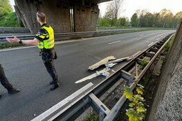 Schade aan spoorbrug bij N208 in Haarlem, beperkt treinverkeer
