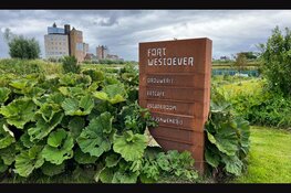 Ontdek de nieuwe Locaties voor Smartphone Fotografie Workshops!