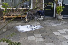 Man komt "belofte" na en sticht brand voor woning Spaarnhovenstraat in Haarlem