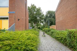 Fatbike uit achtertuin gestolen van woning Antwerpenstraat Haarlem