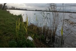 Opschonen oevers van het Spaarne