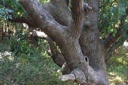 Zien en beleven Op ontdekking met het hele gezin