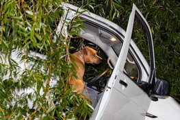 Beschonken automobilist aangehouden na eenzijdig ongeval