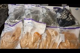 Politie treft ruim veertig kilo drugs aan bij verkeerscontrole in Haarlem