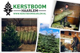 Kerstboom Kopen in Haarlem? Geniet van de Bezorg- en Ophaalservice van Kerstboom Haarlem!