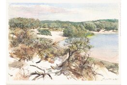 Natuurlijk Haarlem & omgeving – Antoon Erftemeijer en Otto Schilling