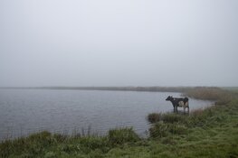 Fototentoonstelling ‘2040. Landbouw in transitie’ in De Gang