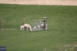 Lente officieel van start gegaan, maar temperatuur doet stapje terug