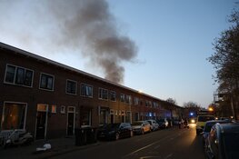 Brand in achtertuin van woning in Plataanstraat in Haarlem