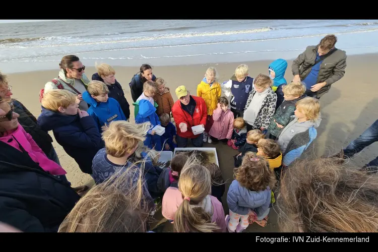 Vissen met een kor voor kinderen