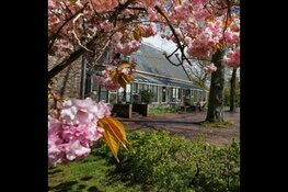 Zomer vol verwondering bij Museum van de Geest