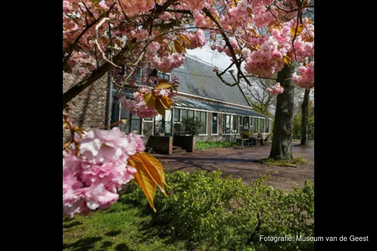 Zomer vol verwondering bij Museum van de Geest