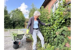 Lustoord voor de natuur in aanleg bij het Vogelhospitaal