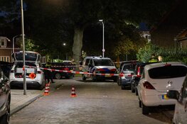 Politie schiet hond dood na aanval op agent in Haarlem