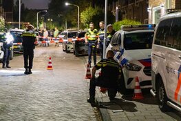 Politie schiet hond dood na aanval op agent in Haarlem