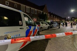 Politie schiet hond dood na aanval op agent in Haarlem