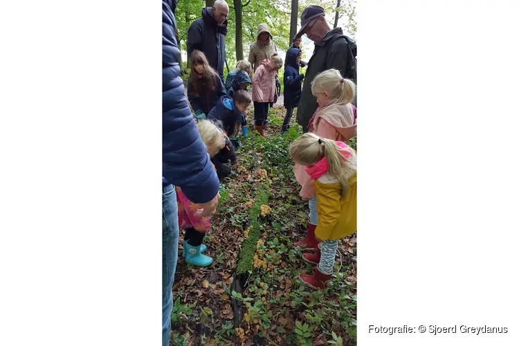 Beleef de magie van de Paddenstoelendag op Elswout