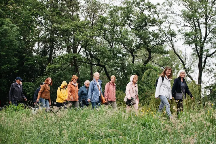 Gezond Natuur Wandelen organiseert tijdens Week tegen Eenzaamheid in Haarlem gezellige, gratis wandelingen