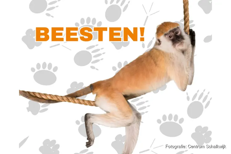 Centrum Schalkwijk presenteert: Beesten!