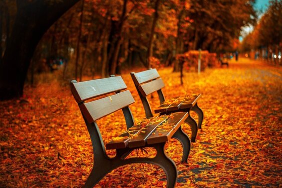 Intredende herfst zorgt voor wisselvallig weer
