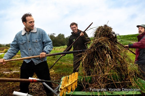 Help de dieren in jouw omgeving!